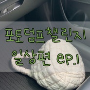 포토덤프 챌린지 나도나도나도!!!! 일상편으로 시작해봅니다 (╯▽╰)╭ ep.1