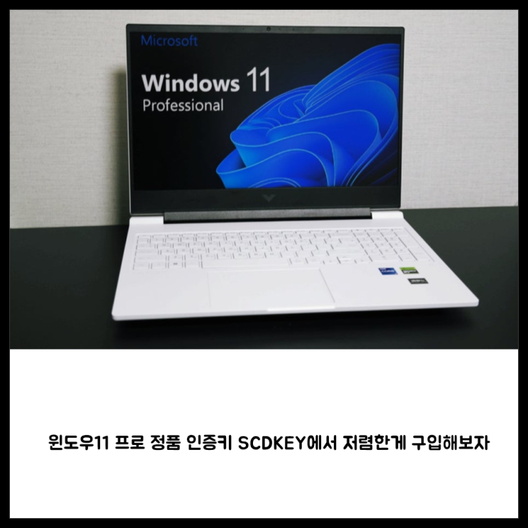 윈도우11 프로 정품인증 SCDKEY에서 정품 인증키 저렴하게 구입해보자 : 네이버 블로그