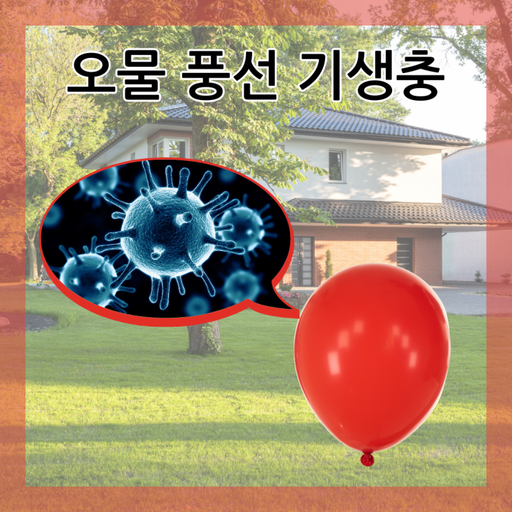 북한 오물 풍선 말라리아 결핵 전염병 기생충 회충 편충 분선충 : 네이버 블로그