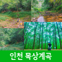 인천 계곡 계양산 목상계곡 위치 주차 텐트 정보