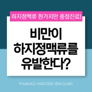 비만이 하지정맥류 발생 원인이 되는 이유