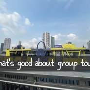 20240617 EasyEnglish) What's good about group tours?