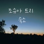 STAY | 미국 엘에이 | 조슈아 트리 국립공원 별이 쏟아지는 Yucca Valley 에어비앤비(엘에이 근교 조슈아 트리 1박 추천)