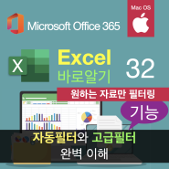 맥북 엑셀 필터 기능 완벽이해 : 자동필터와 고급필터 활용법