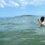 아일랜드 더블린 6월 완연한 여름 날씨 바다수영 바다사자 sea lion 물놀이 패들보드까지