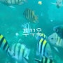 푸꾸옥 보물섬 호핑투어 스노쿨링 준비물 한국인 가이드 오션펄 아일랜드
