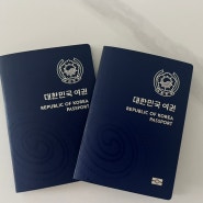 아기여권 만들기(준비물, 여권사진 규격, 비용)