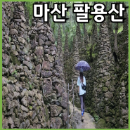 창원 마산팔용산 등산코스 [돌탑-팔용산정상-봉암수원지-전망대] 원점회귀 우중등산