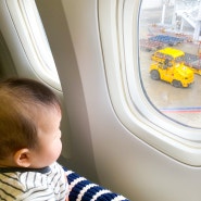 5개월 아기랑 둘이 비행기 대한항공 프레스티지 인천-시카고 좌석 추천