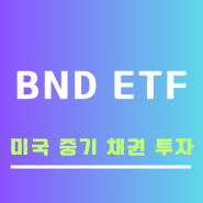 미국 중기 채권 투자 BND ETF 분석