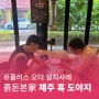 [유플러스 오더 설치사례]제주 흑 도야지_인천 구월동맛집