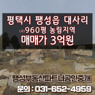 [매매] 평택시 팽성읍 대사리 농림지역 매매