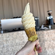 [제주 여행]또 강민경픽 초당옥수수 아이스크림 점점
