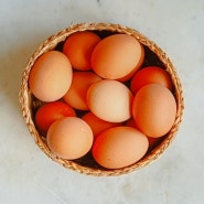 달걀 효능 5가지는? 계란 1개 단백질 함량 및 다이어트 효과