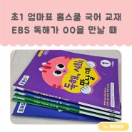 초1 엄마표 홈스쿨 국어 교재 EBS 독해가 OO을 만날 때 시리즈