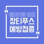 [베트남 여행 준비] 장티푸스 예방접종 맞아야 할까? / 무료 예방 접종 조건 / 서울 강서구 보건소