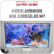 삼탠바이미 삼성 43인치 4K 스마트모니터 M7 S43DM701 사용기 (Feat. 거치대)