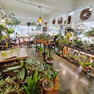 야생화 가득 공도 식물카페 '수풀' 온실 식물판매