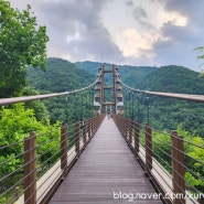 증평여행 좌구산 자연휴양림 천문대 산책하고 명상구름다리건너면서 산책하기좋은 청주 근교 가볼만한곳