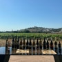 [포르투갈 어디까지 가봤니 4] 알렌테주 Estremoz 에스트레모즈-Tiago Cabaço winery 와인 추천