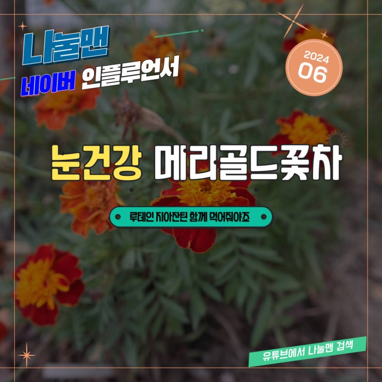 메리골드 꽃차 효능 루테인 지아잔틴 추천 눈건강 챙겨요 : 네이버 블로그