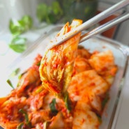 배추김치 여름김치 맛있는 유충렬 김치 맛 김치 택배 맛있는 김치 추천 해요.
