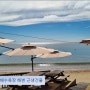 태안군 소원면 만리포해수욕장 해변 근생건물