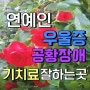 연예인 우울증 공황장애 기치료 잘하는곳