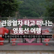 관광열차 타고 떠나는 영동선 여행 (동해산타열차, 백두대간협곡열차)