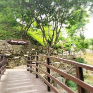 진주가볼만한곳 월아산 정원박람회 숲속의 진주 멋지다!