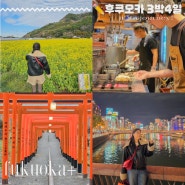 후쿠오카 근교 자유여행코스 추천 | 3박 4일 소도시여행