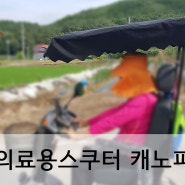 건강한 여름나기를 위한 햇빛가리개 캐노피