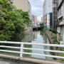 후쿠오카 여행 3 (와타나베 도리, 텐진)