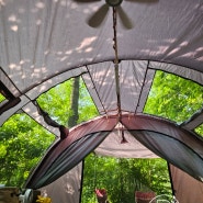 벌레와 함께했던 여름 캠핑 / 여울지숲속캠핑장 / D1사이트 솔직후기