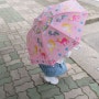 드림매직 어린이우산 비가 오면 색이 변하는 마법우산