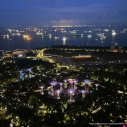 싱가포르 마리나베이샌즈 전망대 스카이파크 야경 입장료 할인