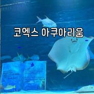 코엑스 아쿠아리움 입장권 공연시간 정보