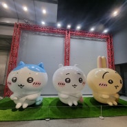 일본 이케부쿠로 선샤인시티 치이카와 농담곰 나가노 팝업 정보 후기