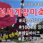 곡성세계장미축제/섬진강기차마을/1004종 장미꽃/레일바이크·증기기관차/놀이공원·동물원은 덤/e카운티 캠핑카 벤볼릭 차량 방향제