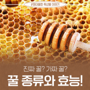 진짜 꿀? 가짜 꿀? 꿀 종류와 효능!