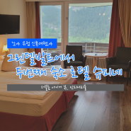 ['24 유럽.4] 그린델발트에서 두번째 숙소 호텔 슈피네(Hotel Spinne) - 더블룸 아이거 뷰, 인피니티풀, 조식 후기