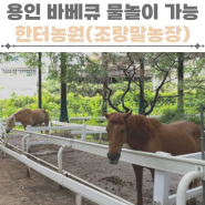 용인 한터농원 물놀이 바베큐 가능 한터조랑말농장