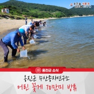 옹진군 수산종자연구소, 어린 꽃게 70만미 방류