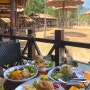 [푸꾸옥] 아시아 최대 규모의 '빈펄사파리'/ 기린이랑 같이 식사하는 '기린식당'