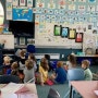 뉴질랜드 초등교육 학사 유학 질문
