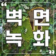 벽면녹화 사례, 과천 골프존파크 인조 실내조경