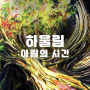 서울 성수 전시회 2024 팀보타 <하울림 : 아림의 시간> 얼리버드 할인 예매 기본정보