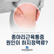 종아리근육통증 발생하면 원인은 근육 때문만 일까?