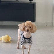 240628 마늘이 순간포착