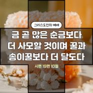 많은 순금보다 더 사모할 것 : 시편 19편 7절~14절